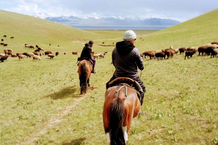 Kundenfoto Ewalts Kasachstan Kirgistan 2018
