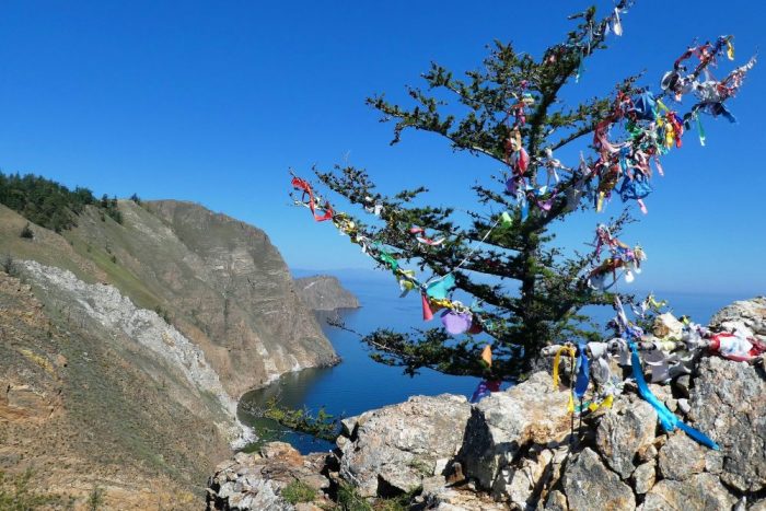 Kundenfoto Steinmetz Russland 2018 Schamanenbaum an der Ostküste der Insel