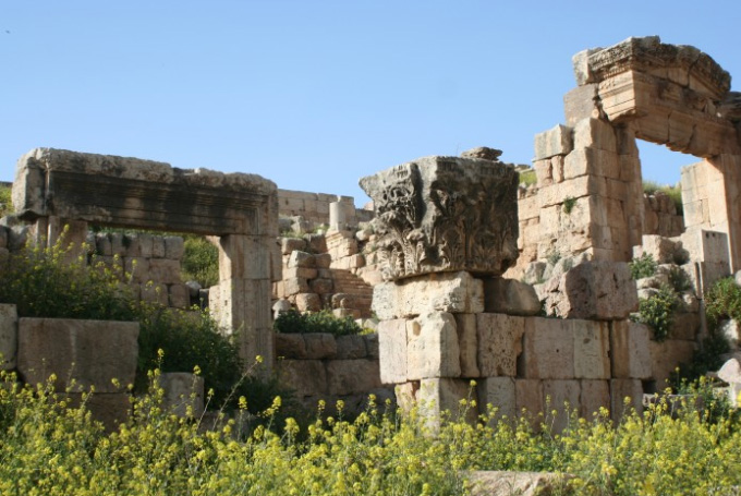 Bild: Blühende Ruine, Jordanien
