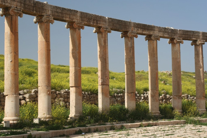 Bild: "Blühende Ruinen", Jerash