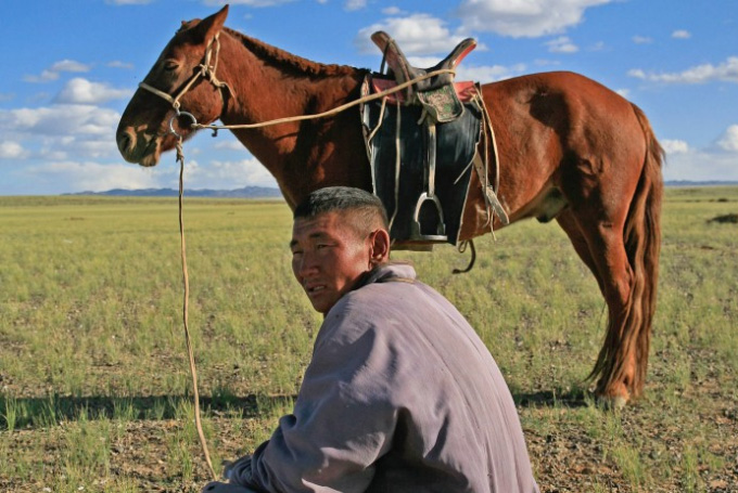 Bild: Pferd, Mongolei