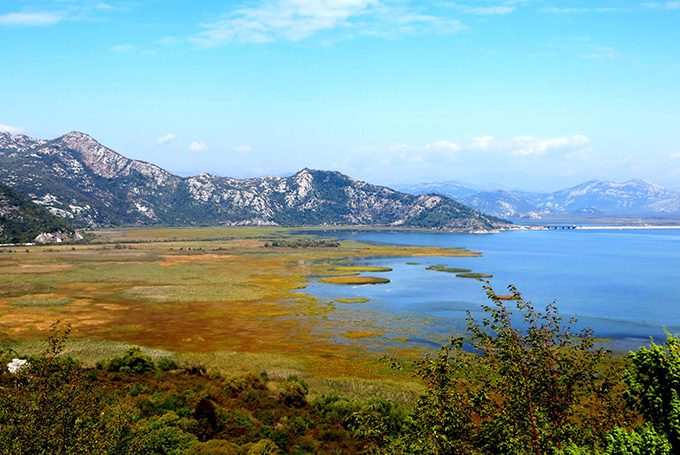 Bild: Shkodra-See, Montenegro