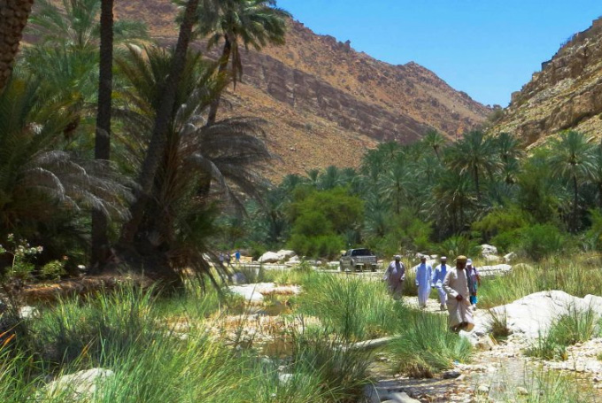Bild: Wadi Bani Khalid, Oman
