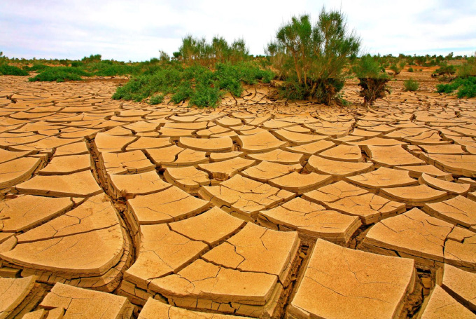 Bild: Wüste Gobi