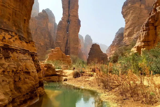 Oase Essendilène im Tassili n'Ajjer-Nationalpark bei Djanet, Algerien, mit Palmen, Oleander und natürlichen Wasserbecken in einem felsigen Canyon.