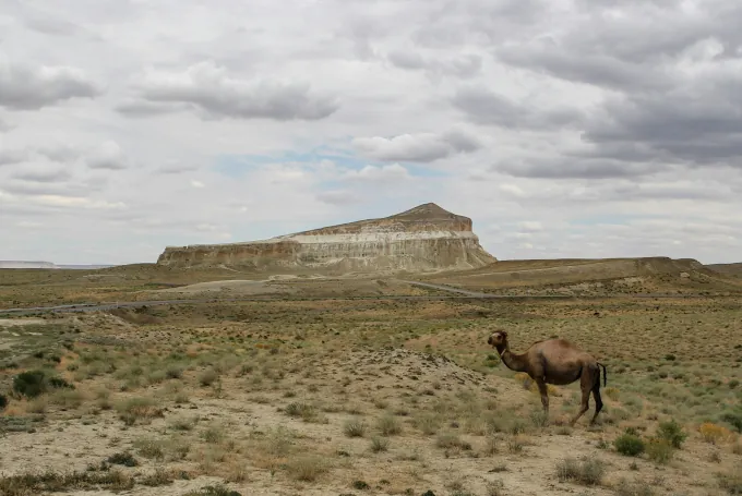 Scherkala Berg in Mangghystau Kasachstan mit markanter Kalksteinformation inmitten der kargen Steppenlandschaft der Wüste