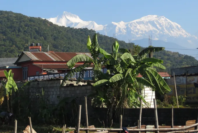 Blick auf die schneebedeckten Annapurna-Gipfel im Himalaya bei Pokhara in Nepal mit Bananenstauden und traditionellen Gebäuden im Vordergrund während einer Trekkingtour
